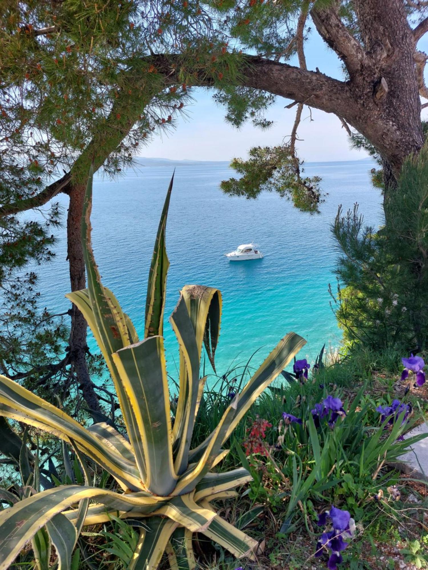 Villa Bratus Promajna Dış mekan fotoğraf